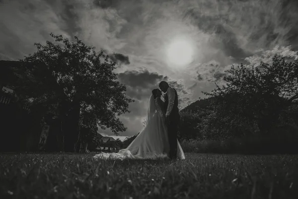 一个美丽的婚礼 一对恋爱中的美丽的夫妇 在一个绿色花园的背景下欢笑和亲吻 高质量的照片 黑白照片 — 图库照片