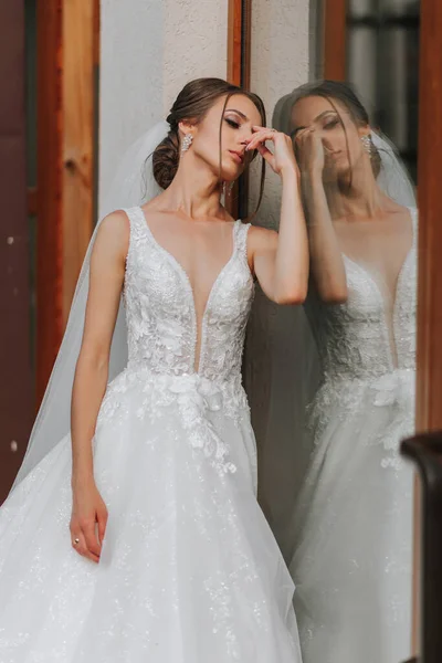 Steht Die Braut Einem Brautkleid Mit Langer Schleppe Und Schleier — Stockfoto