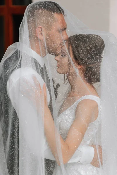 Свадебная Пара Природе Невеста Жених Обнимаются Завесой Свадьбе — стоковое фото