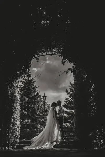 Portrait of the bride in nature. Silhouette black and white photo. A brunette bride in a white dress and a stylish groom in a black suit are standing at the door. Beautiful hair and makeup.