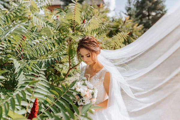 Retrato Casamento Noiva Vestido Branco Com Véu Posando Perto Uma — Fotografia de Stock
