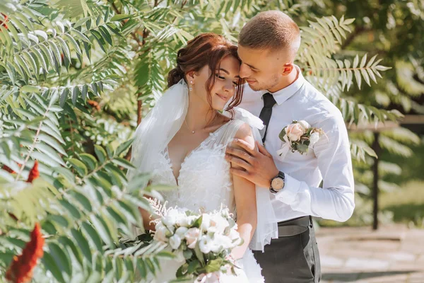 Portré Menyasszony Vőlegény Parkban Menyasszony Vőlegény Ölelkeznek Gyengéden Csókolóznak Esküvői — Stock Fotó