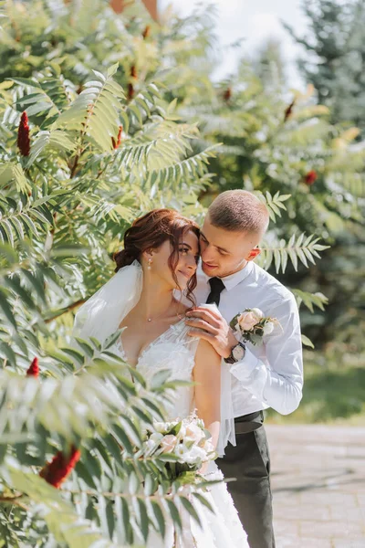 Ritratto Della Sposa Dello Sposo Nel Parco Gli Sposi Abbracciano — Foto Stock