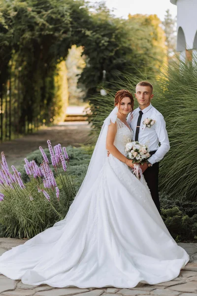 花嫁の肖像画と公園で育った花嫁と新郎は ラベンダーの花の近くにポーズしています 結婚式は公園で散歩する ドレスのロングトレイン — ストック写真