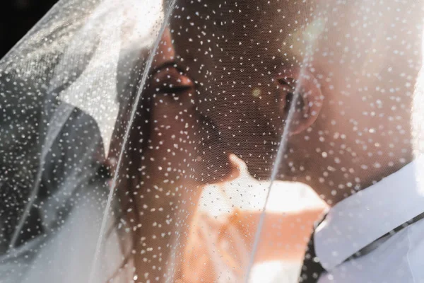 Ritratto Matrimonio Gli Sposi Coprivano Velo Abbracciati Baciati Teneramente Concetto — Foto Stock