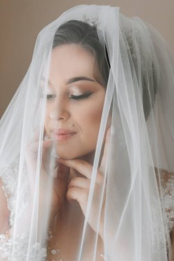 Gelinin portresi. Duvak takmış gelinlik giymiş gelin poz veriyor. Güzel saç ve makyaj. Elbise için açık büst. Kristalli diyadem