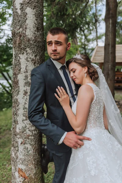 Egy Házaspár Élete Legszebb Napját Éli Magas Fák Hátterében Menyasszonyok — Stock Fotó