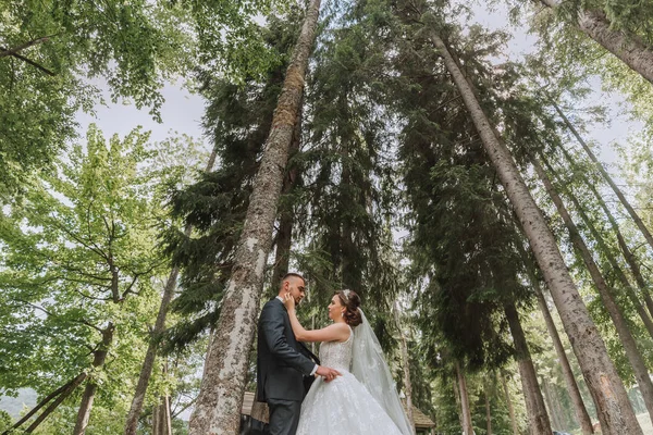 A wedding couple is enjoying the best day of their lives against the backdrop of tall trees. Portrait of brides in love in nature