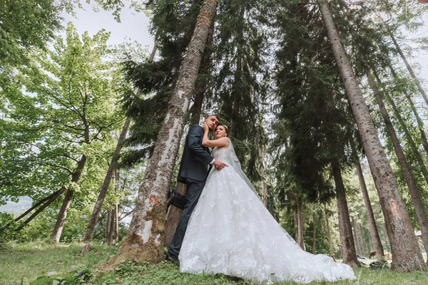 A wedding couple is enjoying the best day of their lives against the backdrop of tall trees. Portrait of brides in love in nature