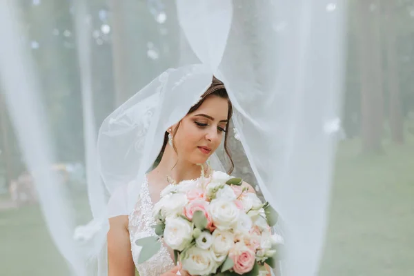 Bride Wedding Dress Long Train Veil Holds Wedding Bouquet Roses — Stock Photo, Image