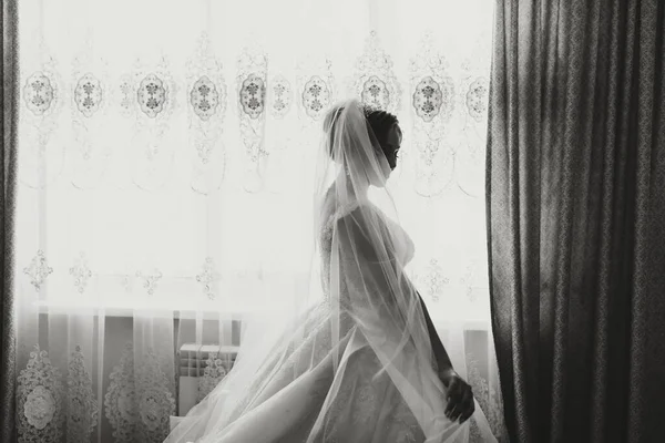 Portrait of the bride. The bride is dressed in an elegant dress, posing by the window wearing earrings. Tiara and jewelry. Open bust. black and white photo