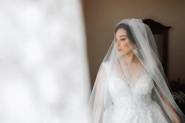 花嫁の肖像画について ベールで覆われたドレスの花嫁 ポーズ 美しい髪とメイク ドレスにバストを開ける クリスタルとの学術 — ストック写真