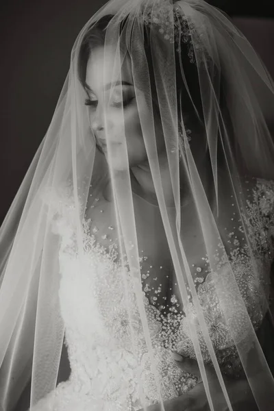 Portrait of the bride. The bride in a dress, covered with a veil, poses. Beautiful hair and makeup. Open bust on the dress. Diadem with crystals. Black and white photo