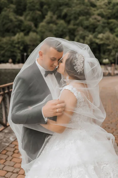 Retrato Casamento Uma Noiva Morena Vestido Longo Noivo Terno Clássico — Fotografia de Stock