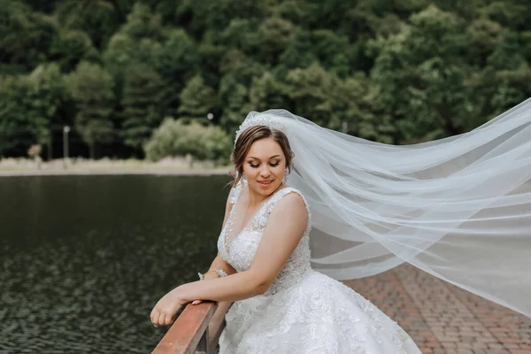 婚礼肖像 新娘穿着白色的连衣裙 头戴飘逸的面纱 站在桥上 真诚的微笑 风和面纱 Diadem — 图库照片