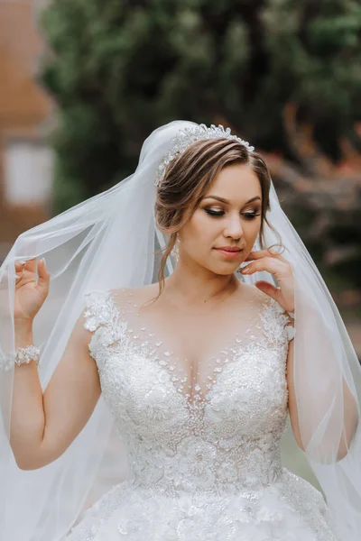 Potret Pernikahan Pengantin Wanita Dalam Gaun Elegan Dengan Kerudung Berdiri — Stok Foto