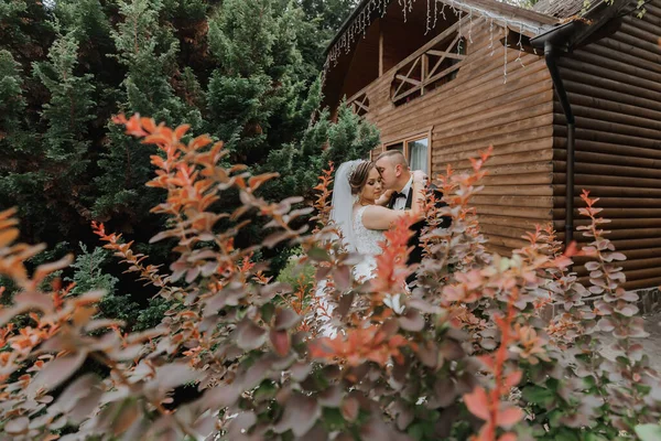 Модный Ухажер Симпатичная Невеста Белом Платье Короной Обнимающаяся Парке Саду — стоковое фото
