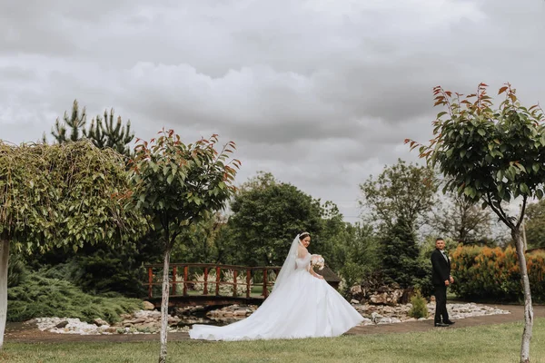 花嫁と花嫁は歩き回り お互いに向かって歩いていく オーバーキャスト空の広角写真 — ストック写真