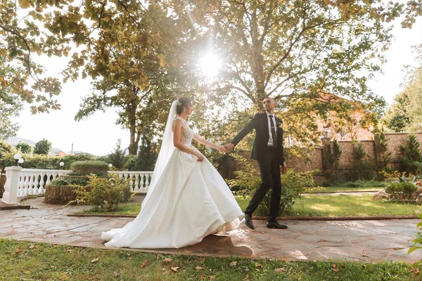 Bride Groom Walk Autumn Park Tall Oak Trees Contrasting Sunlight — Stock Photo, Image