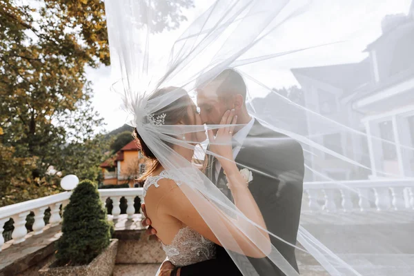 Wunderschöne Glückliche Luxuriöse Brünette Braut Und Eleganter Stilvoller Bräutigam Stehen — Stockfoto
