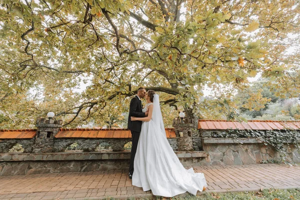 时尚的新郎和可爱的黑发新娘穿着白色礼服 穿着专业的化妆品和一束鲜花 拥抱在一起 在公园 森林里嬉笑着 婚纱照 — 图库照片