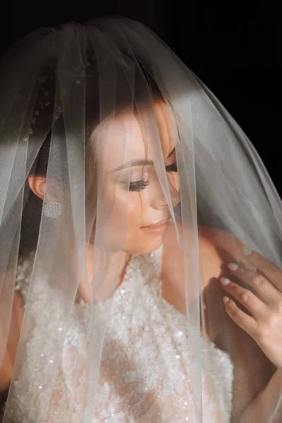 Glückliche Und Schöne Braut Unter Einem Schleier Großaufnahme Braut Mit — Stockfoto