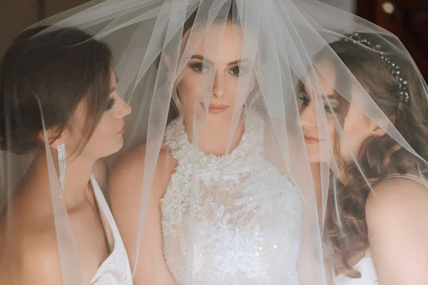 Damas Honor Estão Olhar Para Câmara Tudo Sob Véu Noiva — Fotografia de Stock