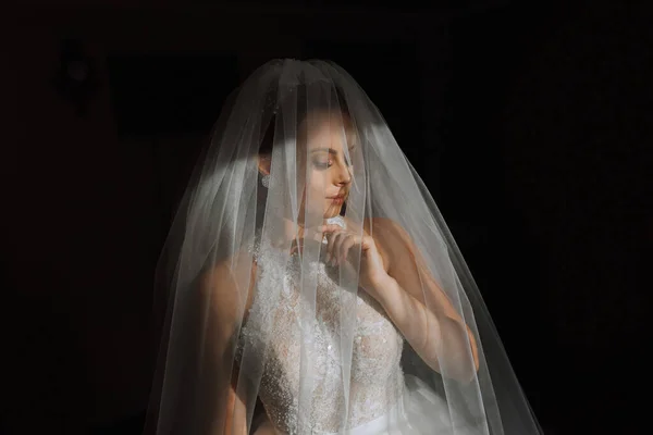 Noiva Feliz Bela Abaixo Véu Close Noiva Com Maquiagem Profissional — Fotografia de Stock