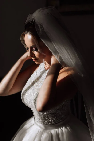 Glückliche Und Schöne Braut Mit Schleier Großaufnahme Braut Mit Professionellem — Stockfoto