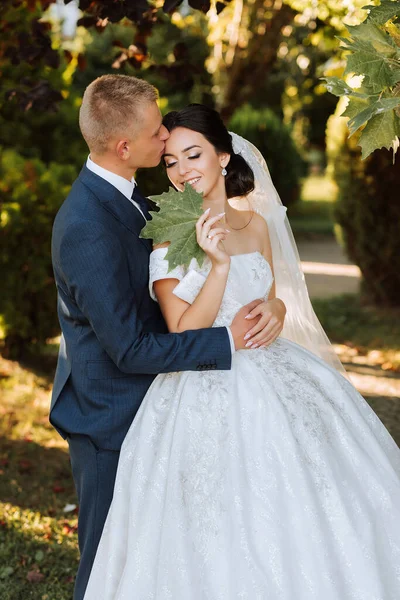 Glückliches Brautpaar Nach Der Trauung Langer Schleier Schickes Weißes Kleid — Stockfoto