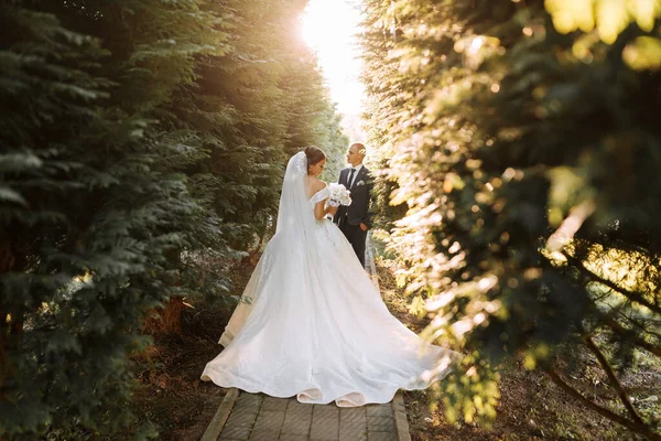 結婚式の後 花嫁と花嫁が公園を散策しています ロングベール 開いた肩を持つシックな白いドレス オーケストラの花束 日没の間 — ストック写真