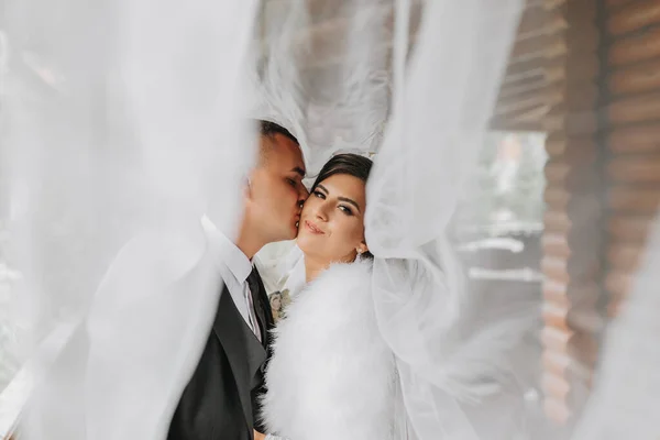Man Kisses Woman Cheek Bride Groom Happy Kissing Veil Authentic — Stock Photo, Image