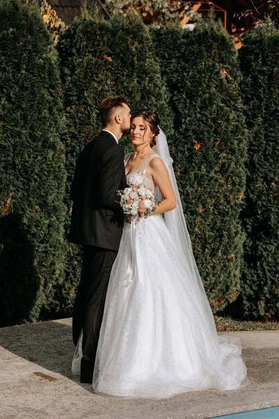 Schöne Elegante Luxus Braut Und Stilvoller Bräutigam Küssen Sich Freien — Stockfoto