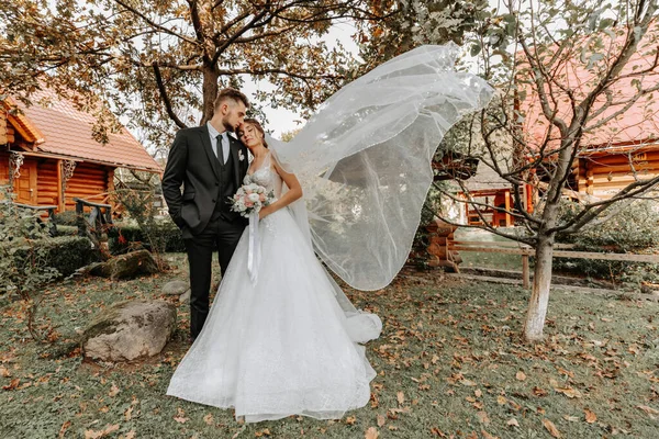 华丽优雅奢华的新娘 带着面纱在风中飘扬 一个时髦的新郎在外面的高大的秋树前亲吻 — 图库照片