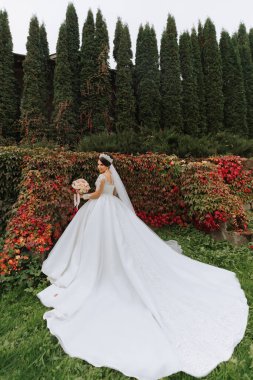 Sonbahar yaprakları ve uzun ağaçların arka planında güzel bir gelin. Gelinin uzun bir trenle geniş açılı fotoğrafı.