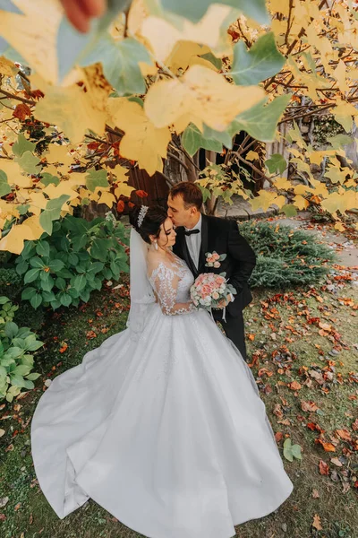 Vőlegény Menyasszony Őszi Erdőben Esküvői Ceremónia Oldalnézet Vőlegény Menyasszony Háttérben — Stock Fotó