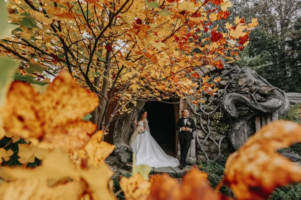 秋の森で花嫁 結婚式 フロントビュー 紅葉の背景に緑と花嫁が咲いています 写真は木々の黄色い葉を通り抜けて撮りました — ストック写真