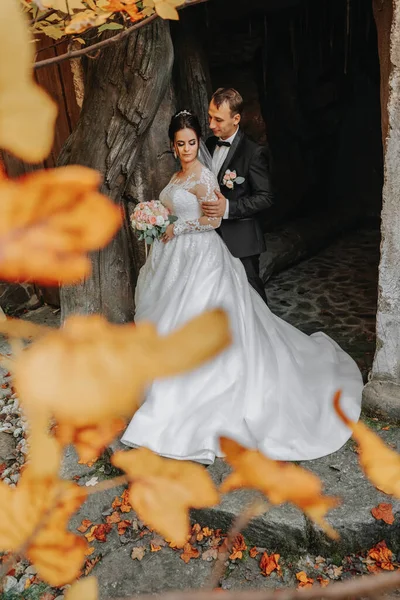 新郎新娘在秋天的森林里 举行婚礼 放眼前方 新郎和新娘在黄黄的秋叶的背景上 这张照片是通过黄色的树叶拍的 — 图库照片