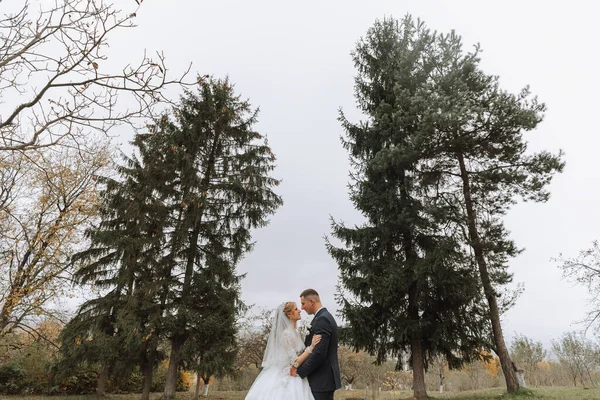 Happy Stylish Couple Newlyweds Green Forest Autumn Day Bride Classic — Stock Photo, Image