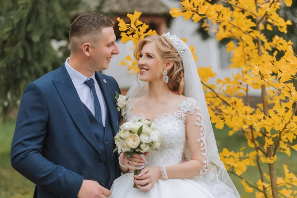 숲에서 신랑과 결혼식 노란색 배경에 신부와 사진은 나무의 촬영되었다 — 스톡 사진