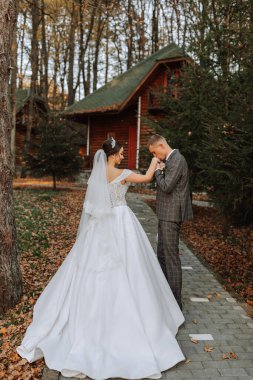 Doğadaki gelin ve damadın portresi, birbirine aşık güzel bir çift. Sonbahar ağacı yaprakları. Yeni evliler sonbahar parkında yürüyorlar.