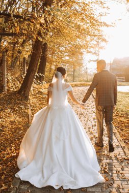 Mutlu bir çiftin portresi, gelin ve damat sonbahar ormanında yürüyor ve öpüşüyorlar, parkta.