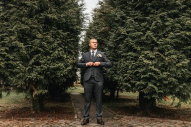 Parkta duran takım elbiseli ve kravatlı yakışıklı damat. Düğün portresi. Klasik takım elbiseli bir adam.