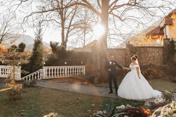 Жених Держит Невесту Руку Ходит Невесты Фоне Солнечных Лучей Парка — стоковое фото