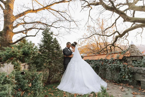 Retrato Casal Casamento Feliz Noiva Noivo Beijando Floresta Outono Parque — Fotografia de Stock