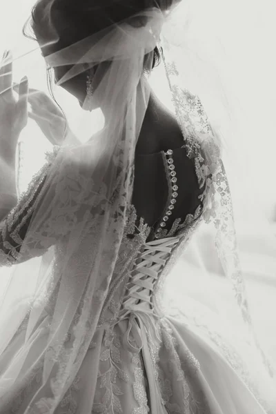 Вид Ззаду Елегантної Брюнетки Нареченої Білій Сукні Позує Під Фатою — стокове фото