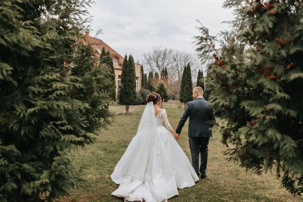 Bräutigam Und Braut Spazieren Und Halten Händchen Park Zwischen Hohen — Stockfoto