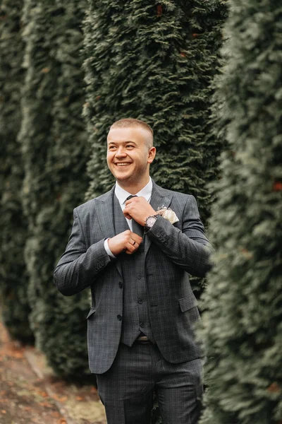 Handsome groom in suit and tie standing outdoors in park. Wedding portrait. A man in a classic suit