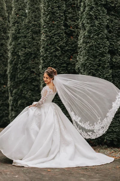 Portrait Beautiful Bride Veil Voluminous Wedding Dress Professional Make Close — Stock Photo, Image