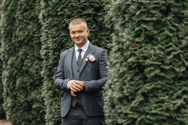 Όμορφος Γαμπρός Κοστούμι Και Γραβάτα Στέκεται Έξω Στο Πάρκο Γαμήλιο — Φωτογραφία Αρχείου